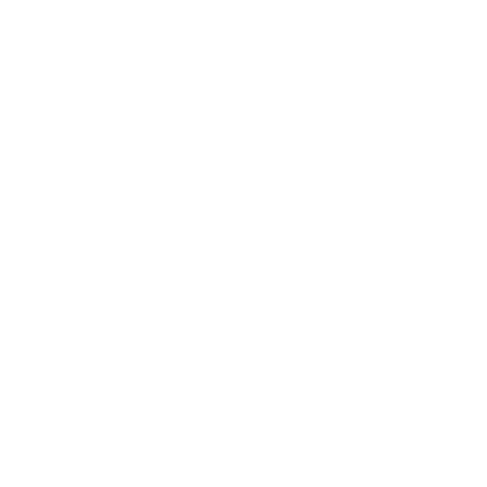 Icono productos originales
